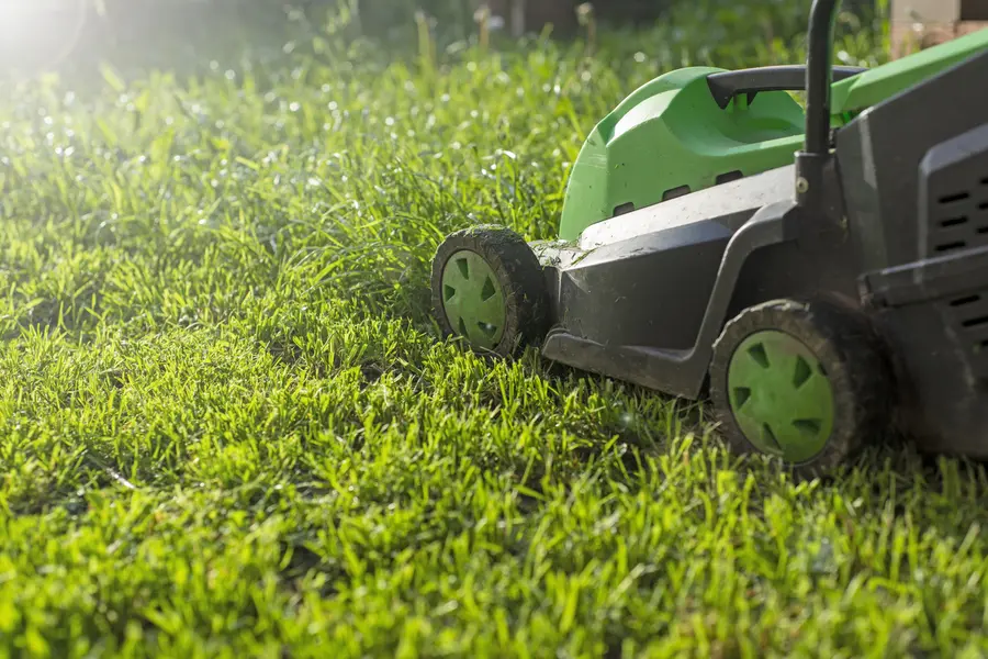 How Lawn Mowing Services Can Improve Your Outdoor Space in Springtown, TX How Lawn Mowing Services Can Improve Your Outdoor Space in Springtown, TX