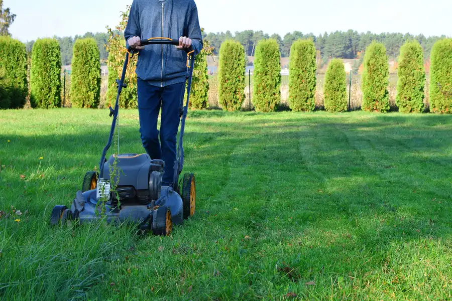 How Lawn Mowing Services Complement Your Fence Installation Springtown, TX