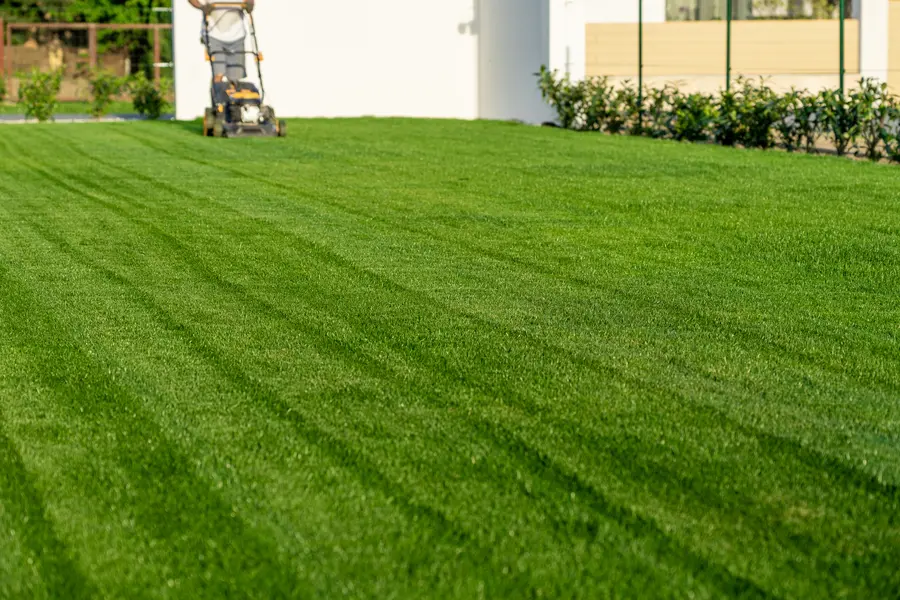 How Lawn Mowing Services Complement Your Fence Installation in Springtown, TX