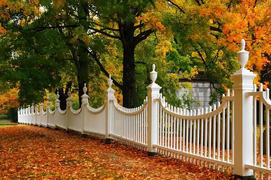 How To Choose The Right Wood Fencing For Your Property Springtown, TX